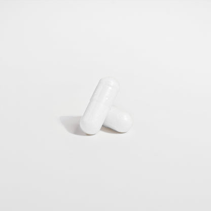 Probiotic 40 Billion CFU & Prebiotics Qty 60 Caps - The Go Well Co.