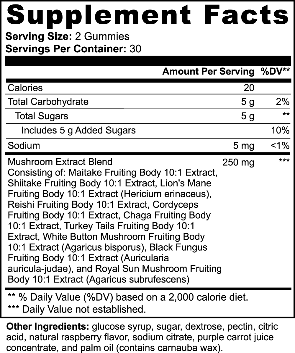 Mushroom ELIXIR Gummies (Raspberry) Qty 60 - The Go Well Co.