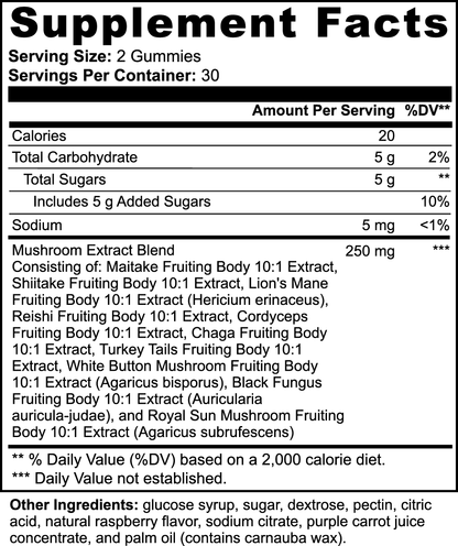 Mushroom ELIXIR Gummies (Raspberry) Qty 60 - The Go Well Co.